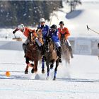 POLO St. Moritz World Cup on Snow 2009 (09)