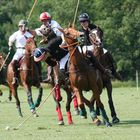 Polo - wer bekommt den Ball?