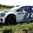 Polo WRC