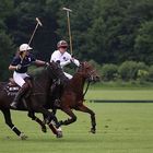 Polo Zweikampf