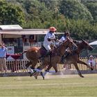 Poloclub Hagen-Grinden