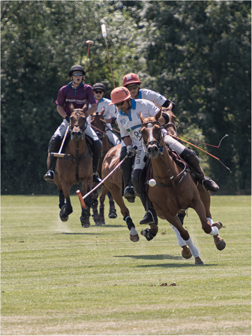 Poloclub Hagen-Grinden