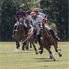 Poloclub Hagen-Grinden