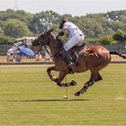 Poloclub Hagen-Grinden