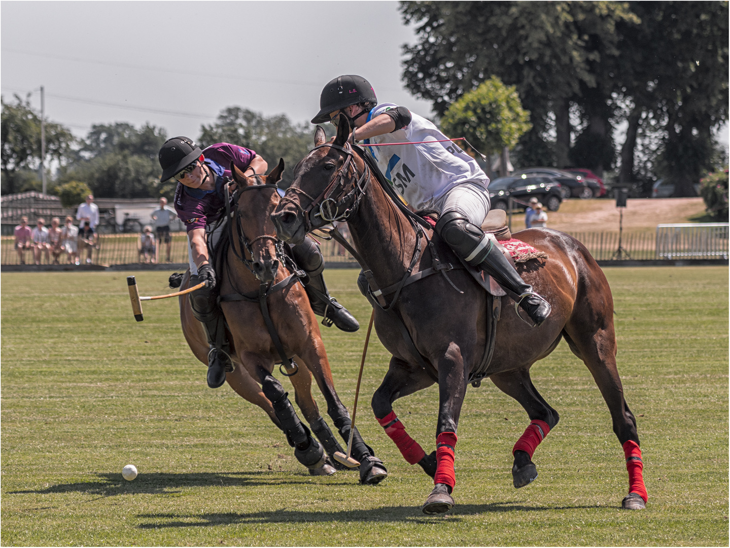 Poloclub Hagen-Grinden