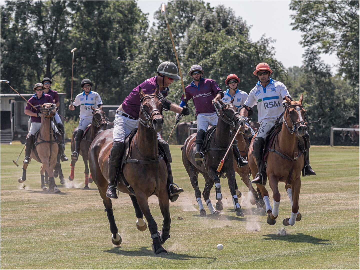 Poloclub Hagen-Grinden