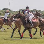 Poloclub Hagen-Grinden