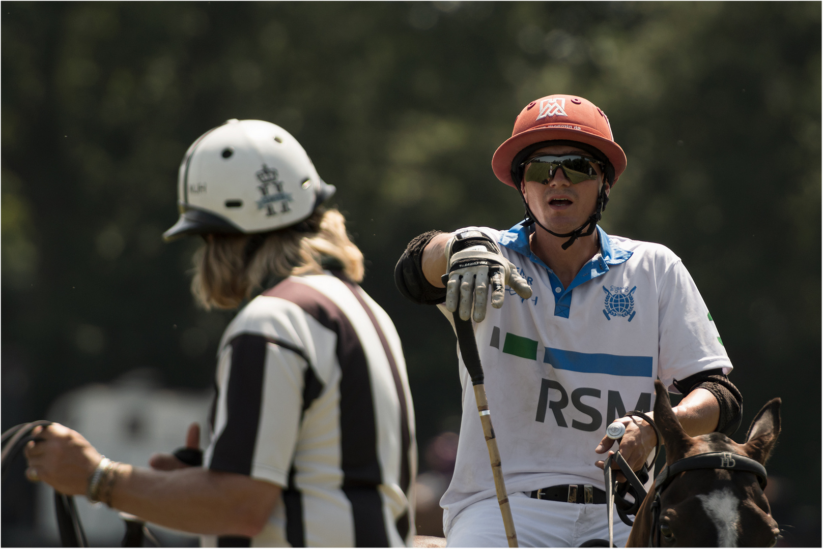 Poloclub Hagen-Grinden