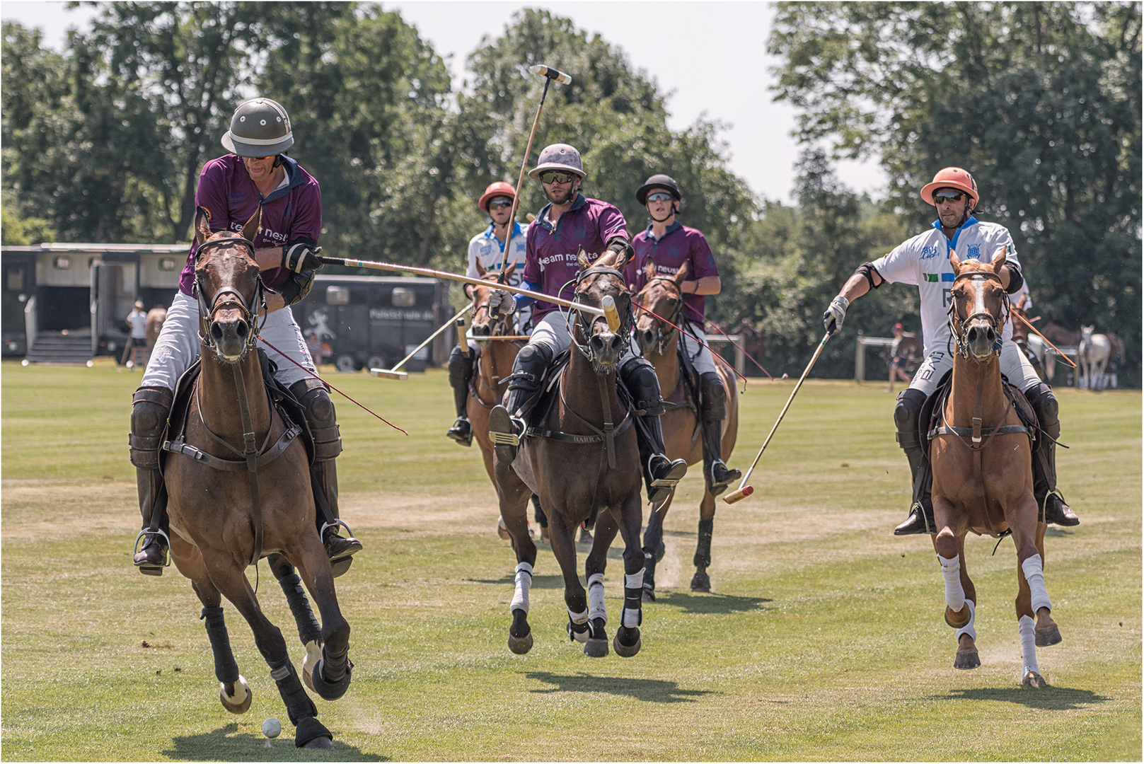 Poloclub Hagen-Grinden