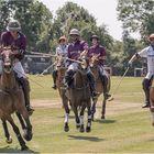 Poloclub Hagen-Grinden