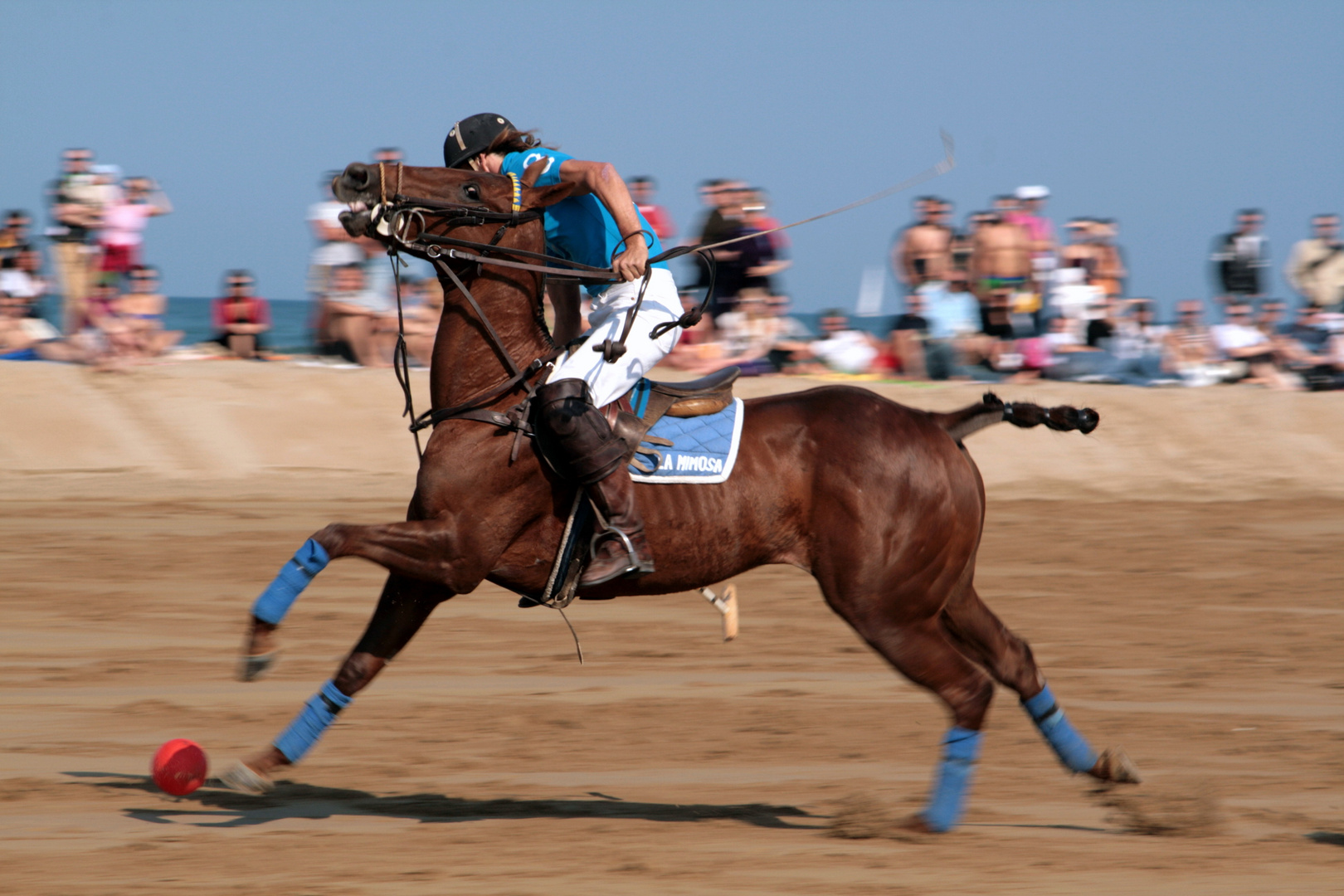 PoloclubRimini09