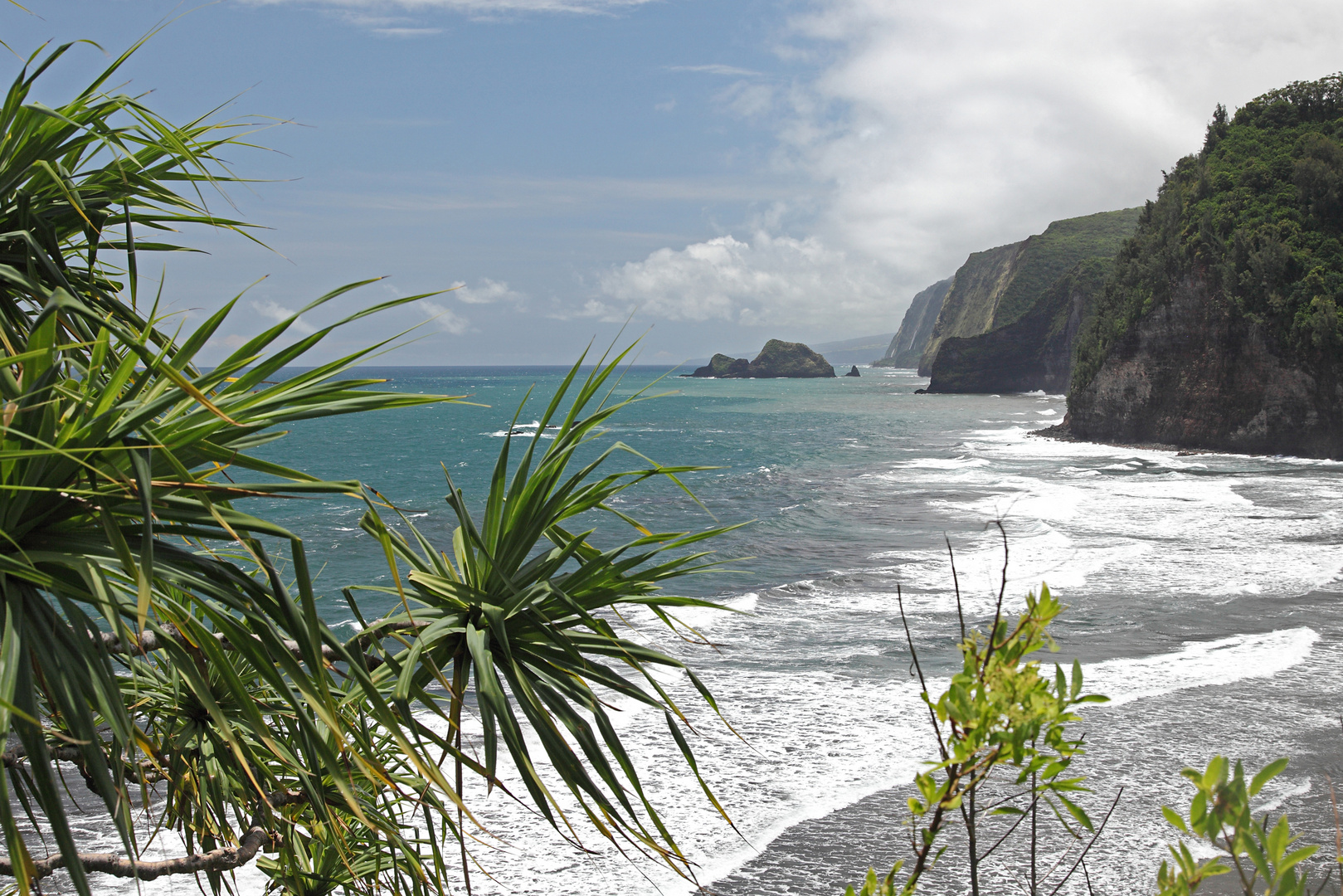 Pololu