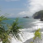 Pololu