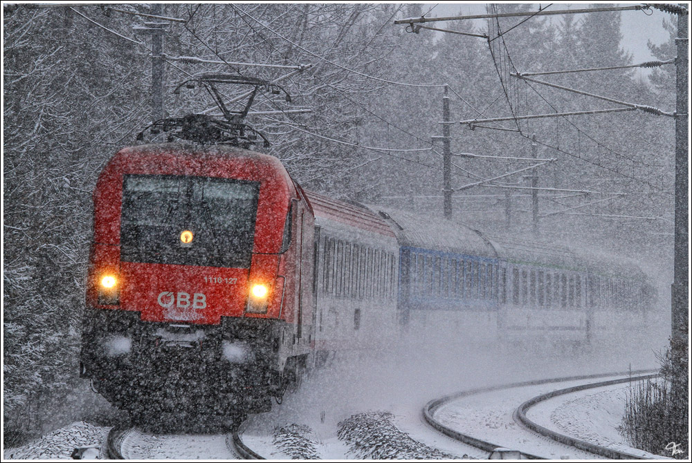 Polonia im Schneesturm