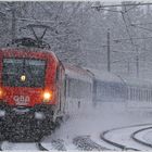 Polonia im Schneesturm