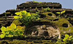 Polonnaruwa 10