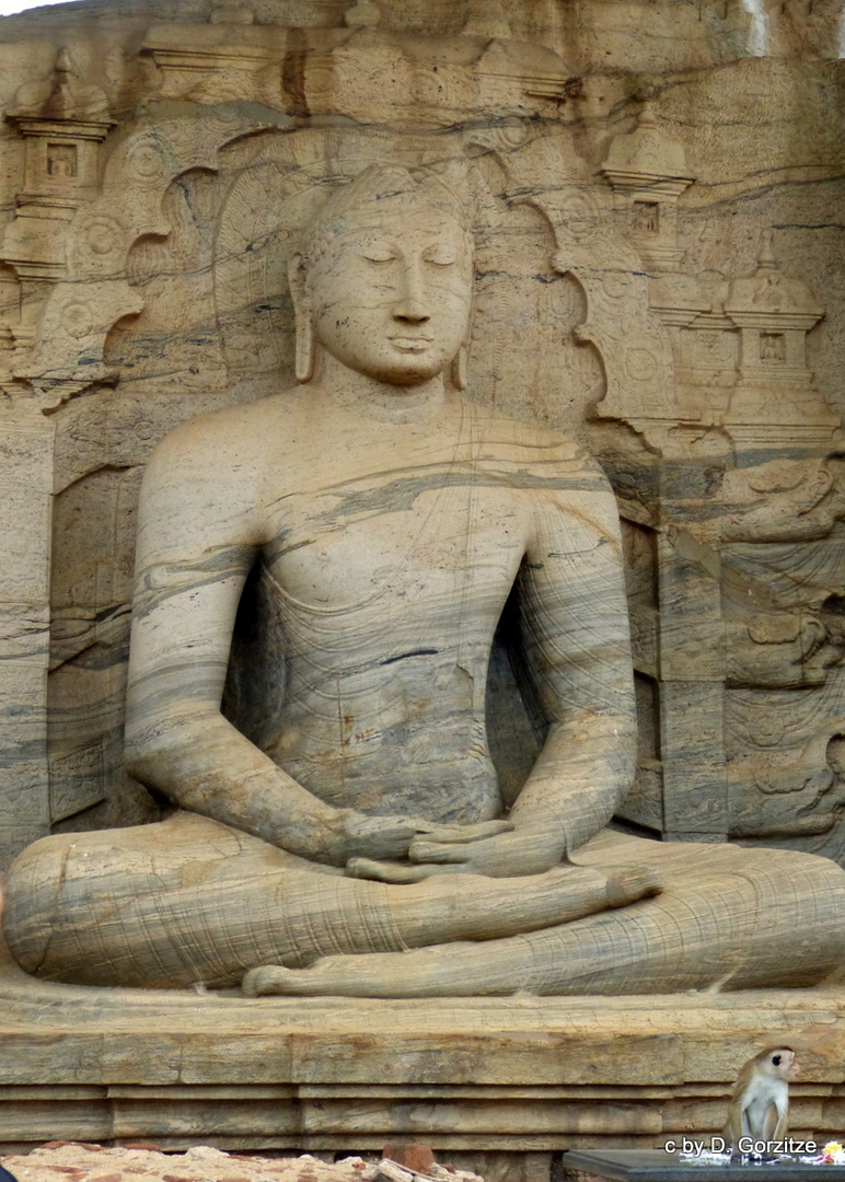 Polonnaruwa-sitzender Buddha !