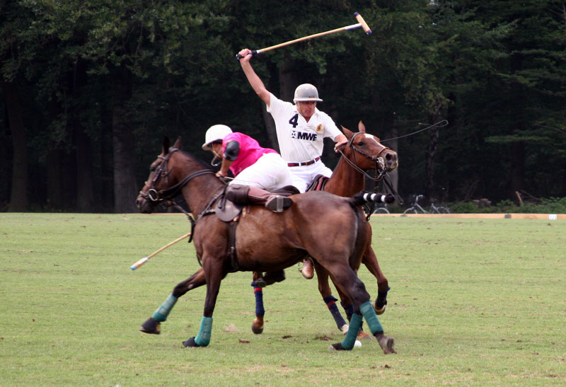 Polopicknick Münster Team MWE