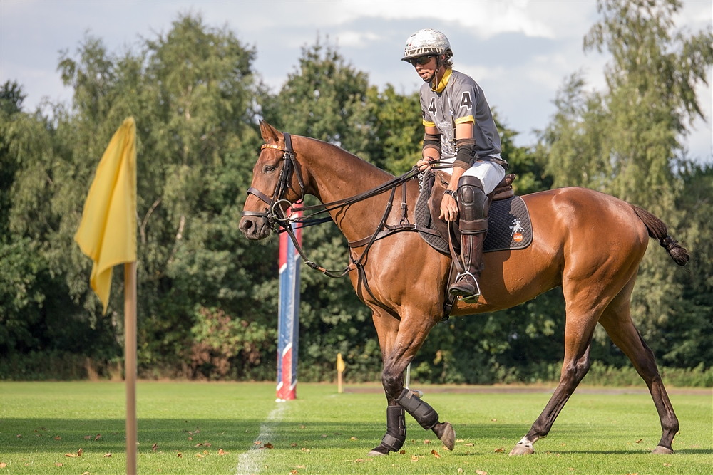 Polospieler mit seinem Pferd