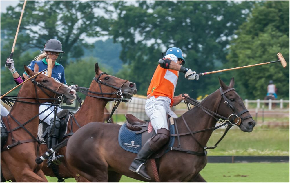 Poloturnier Aspern 2016-1