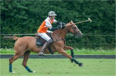 Poloturnier Aspern 2016-3