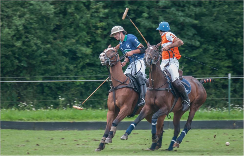 Poloturnier Aspern 2016-4