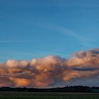 polsterwolken ? oder wie heiße ich