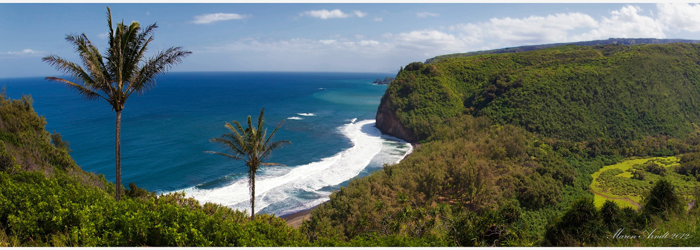 Polulo Valley Lookout - Big Island