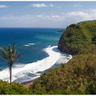 Polulo Valley Lookout - Big Island