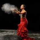 Polvo de flamenco