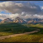 polychrome pass