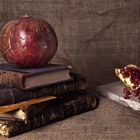 Pomegranate with books