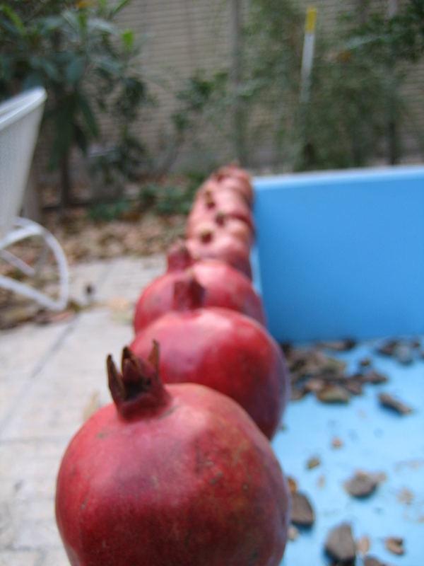 pomegranates