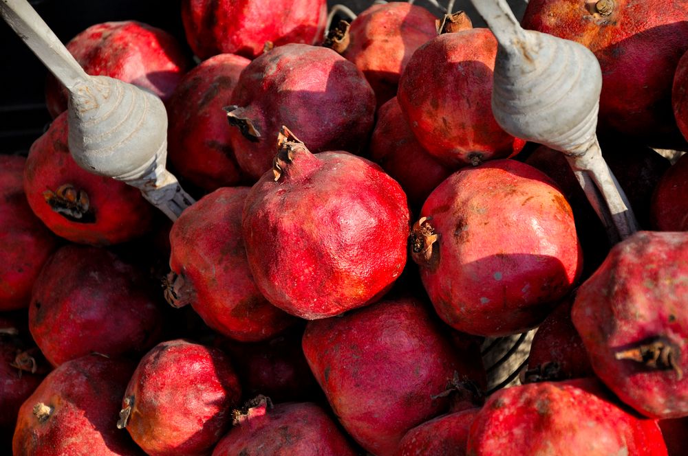 Pomegranates in Jerusalem