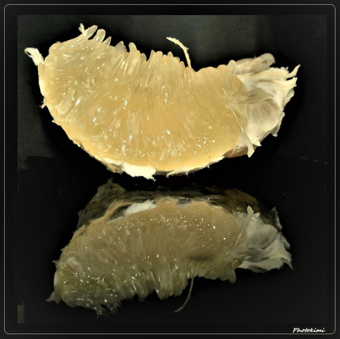 Pomelo Foto & Bild | pflanzen, pilze & flechten, projekte, früchte und ...
