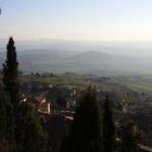 Pomeriggio - Colli Senesi