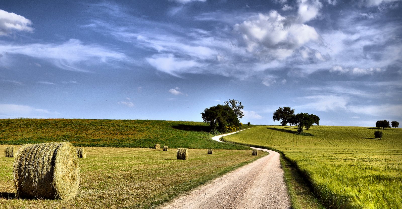 Pomeriggio in campagna