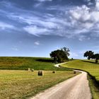 Pomeriggio in campagna