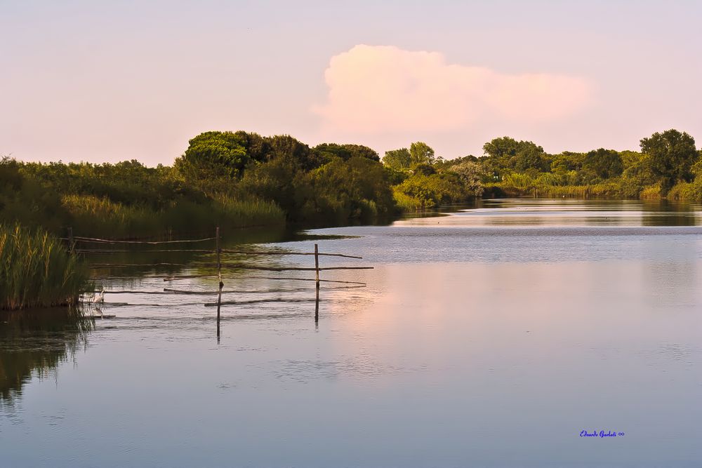 Pomeriggio nel Delta del Po