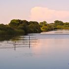 Pomeriggio nel Delta del Po