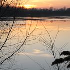 Pomeriggio sul lago