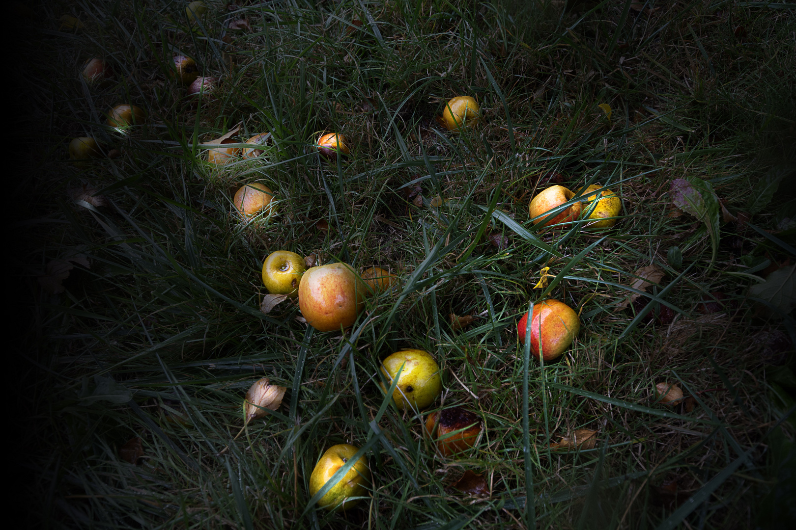 Pomme pomme t'es tu fait mal?