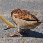 Pommes im Anflug