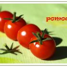 pomodori