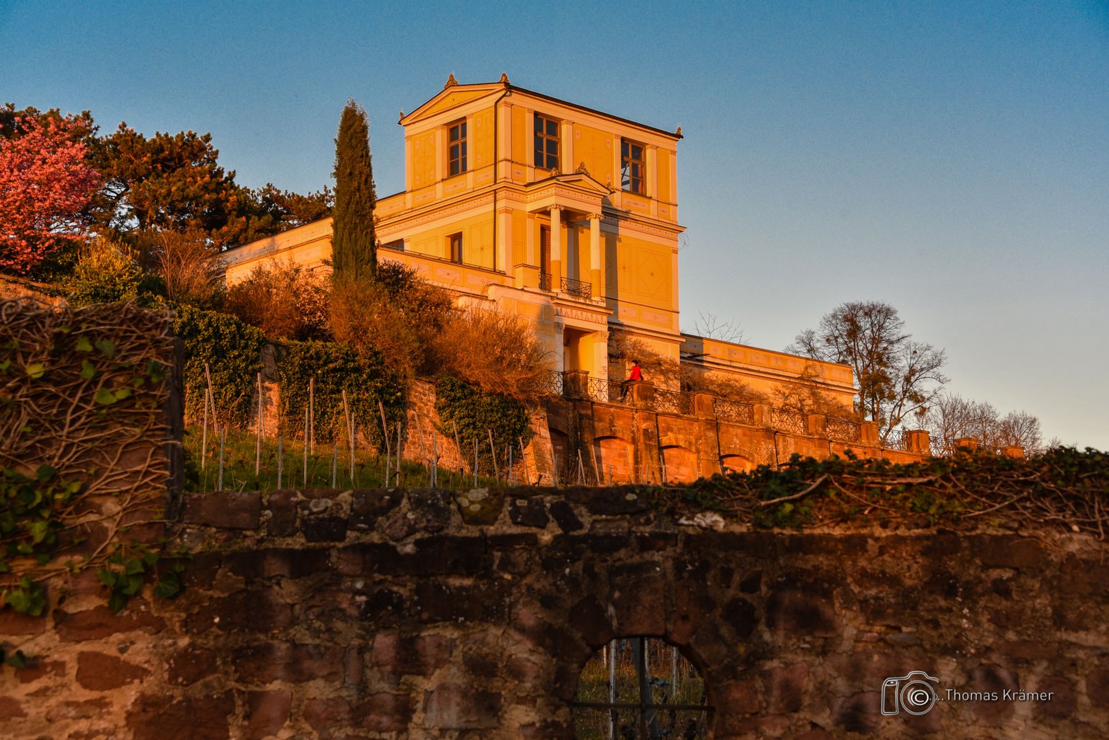 Pompejanum - D75_2731