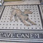 Pompejanum - Eingangsmosaik Cave canem