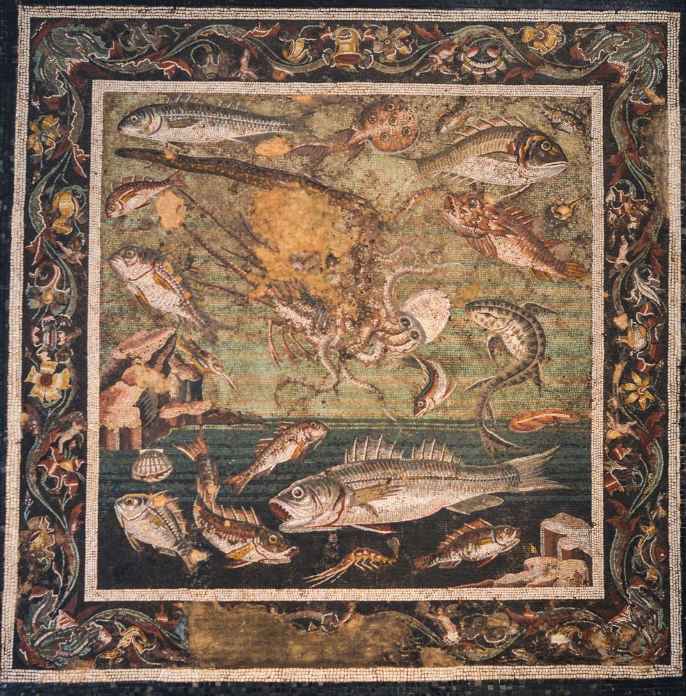 Pompeji - Haus des Fauns - Fischmosaik