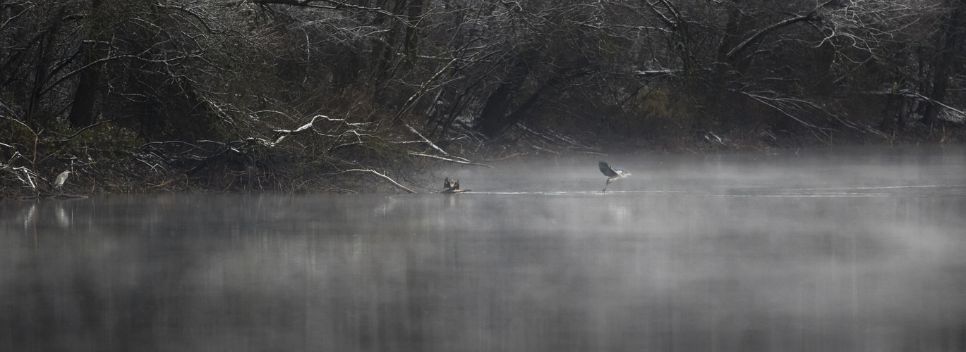 pond