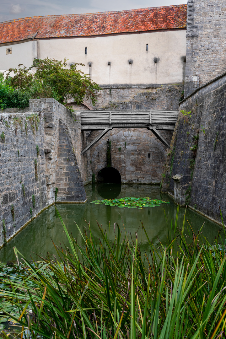 ...pond and bridge ... 