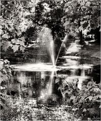 Pond and Fountain - A Green Spring Gardens Impression